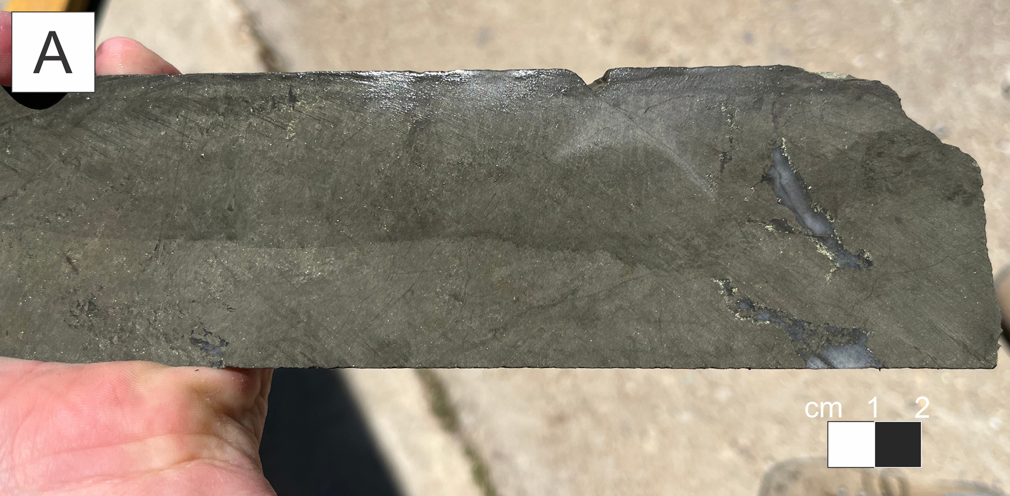Photos of El Cura drillcore as described in this release: A: EC051; Fine grained massive sulphide.Visible chalcopyrite along fracture planes and irregular veinlet.