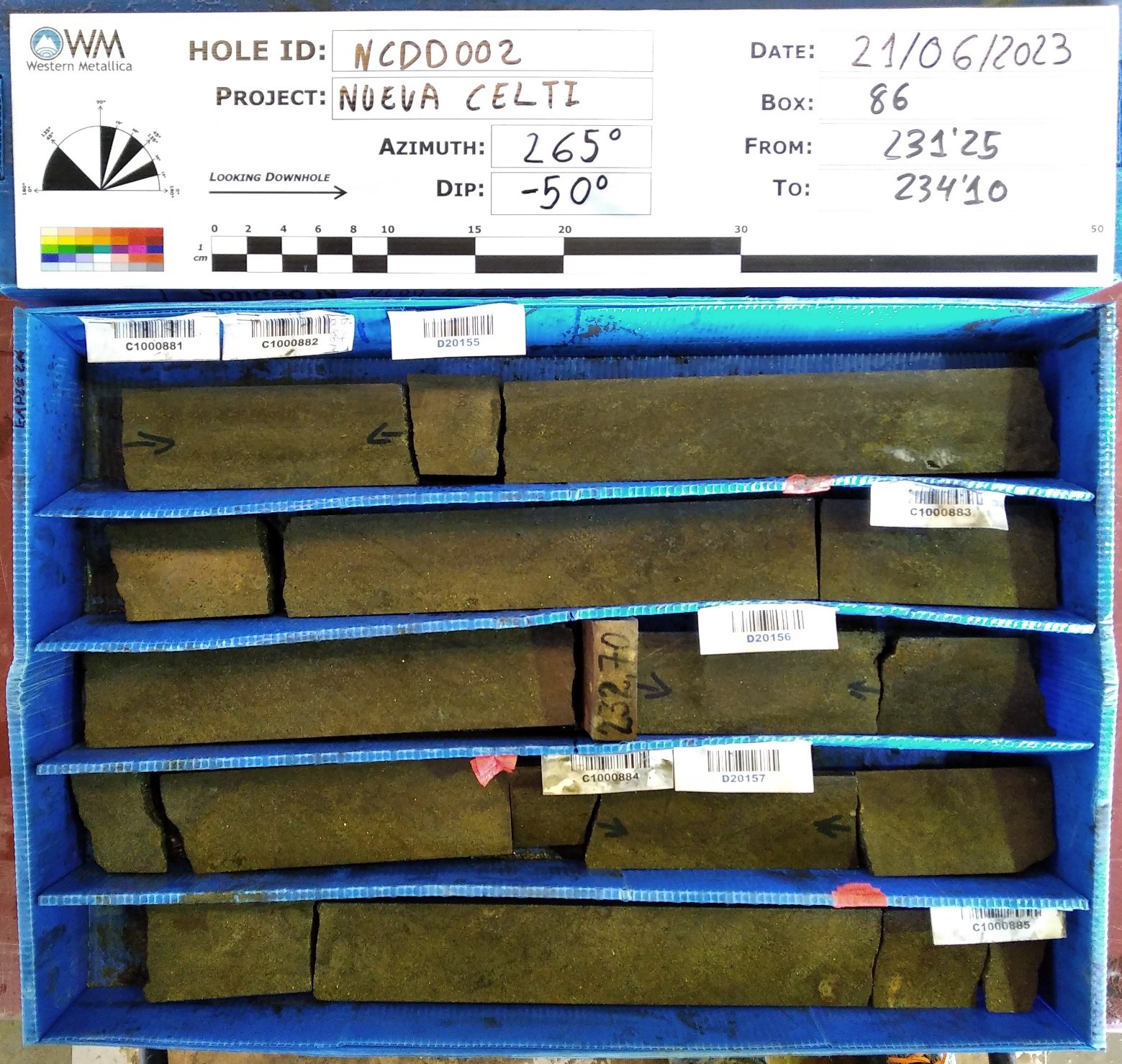 Copper-rich mineralized drill intercept, Nuevo Celti deposit. Deposit remains open at modest depth.